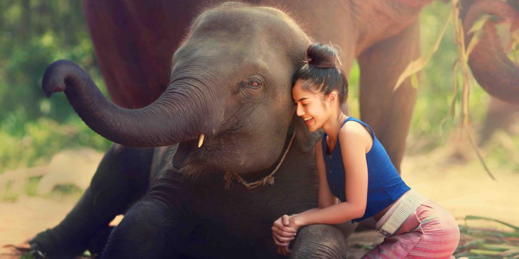 Une Thaïlandaise câline un jeune éléphant.